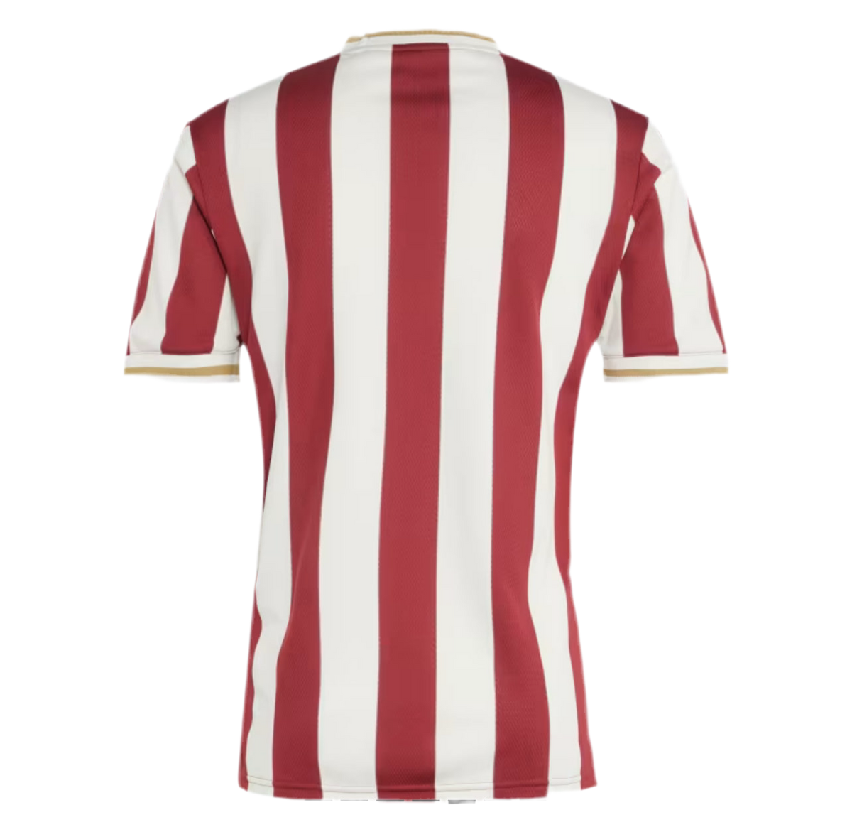Nürnberg Camiseta — 125th Anniversary Kit