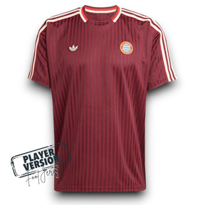 Bayern Munich Jugador Camiseta Terrace Icons 2025/26