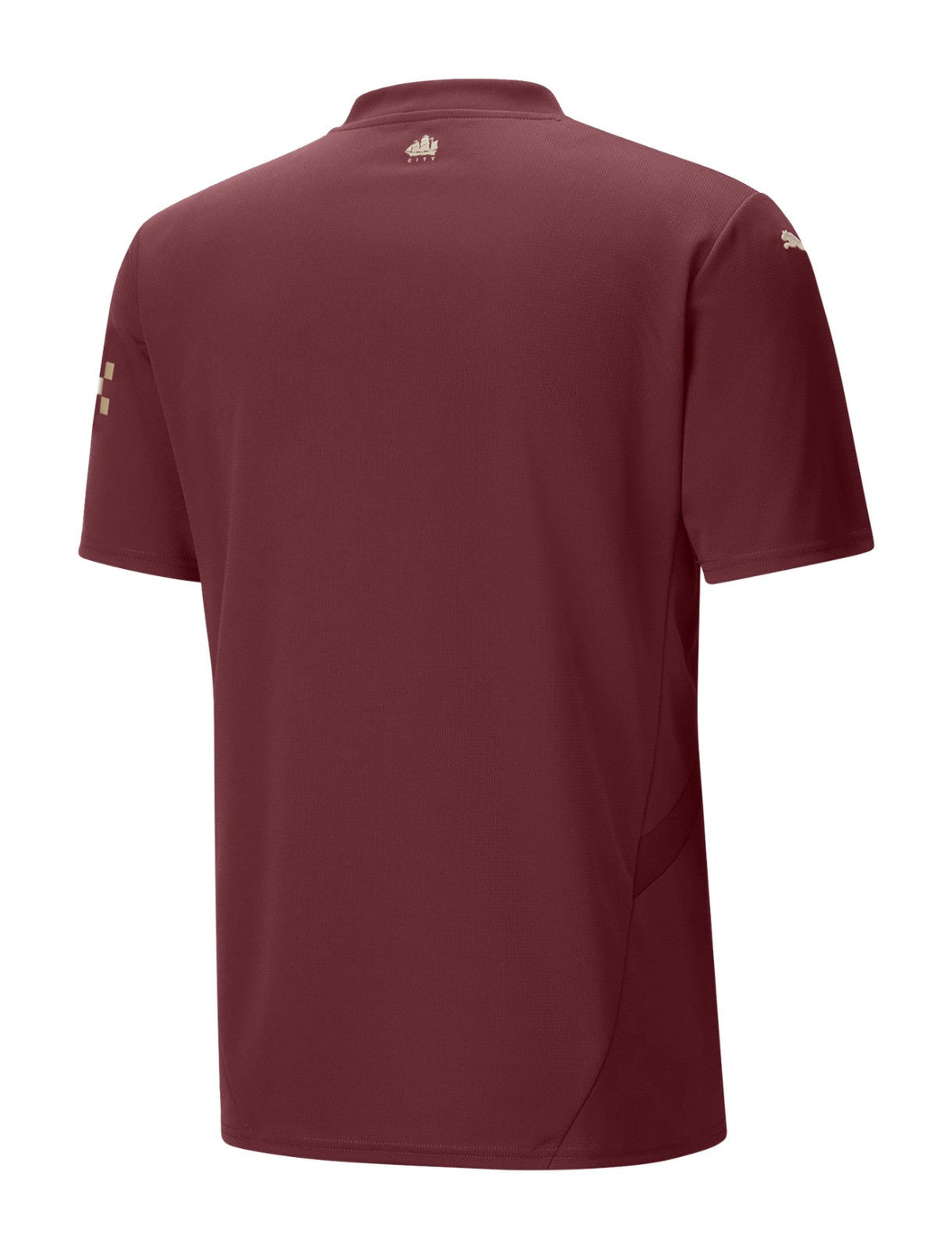 Manchester City Jugador Camiseta Tercera 2024/2025