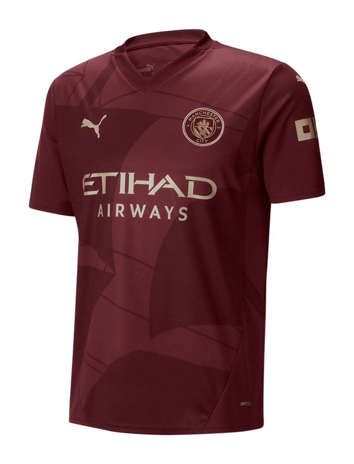 Camiseta Manchester City Ill 24/25 Hombre