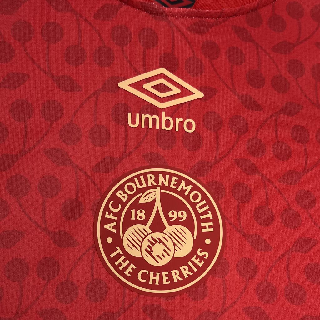 Bournemouth Pre Match Visitante Camiseta 2024/2025