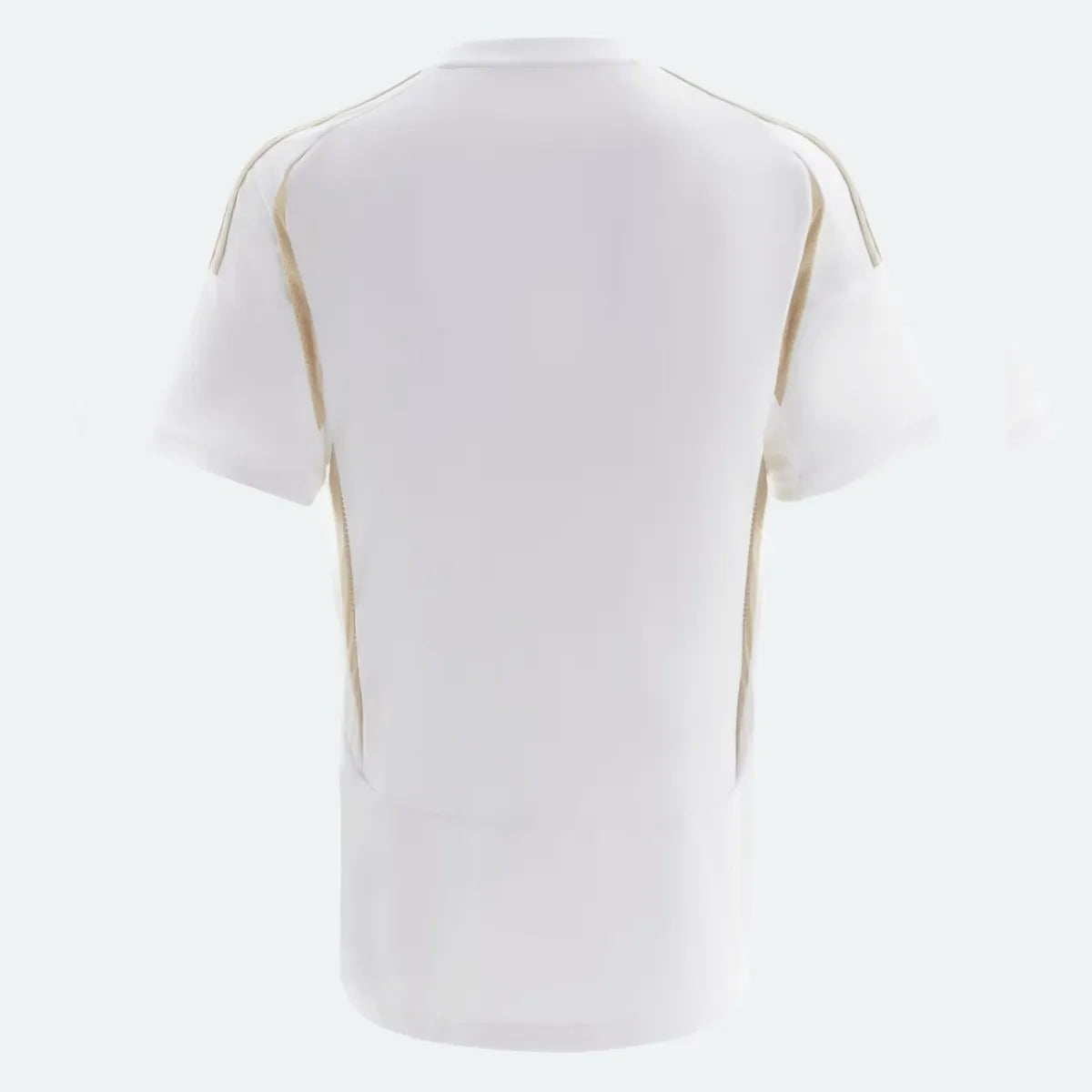 Camiseta Al Nassr Ill 24/25 Hombre