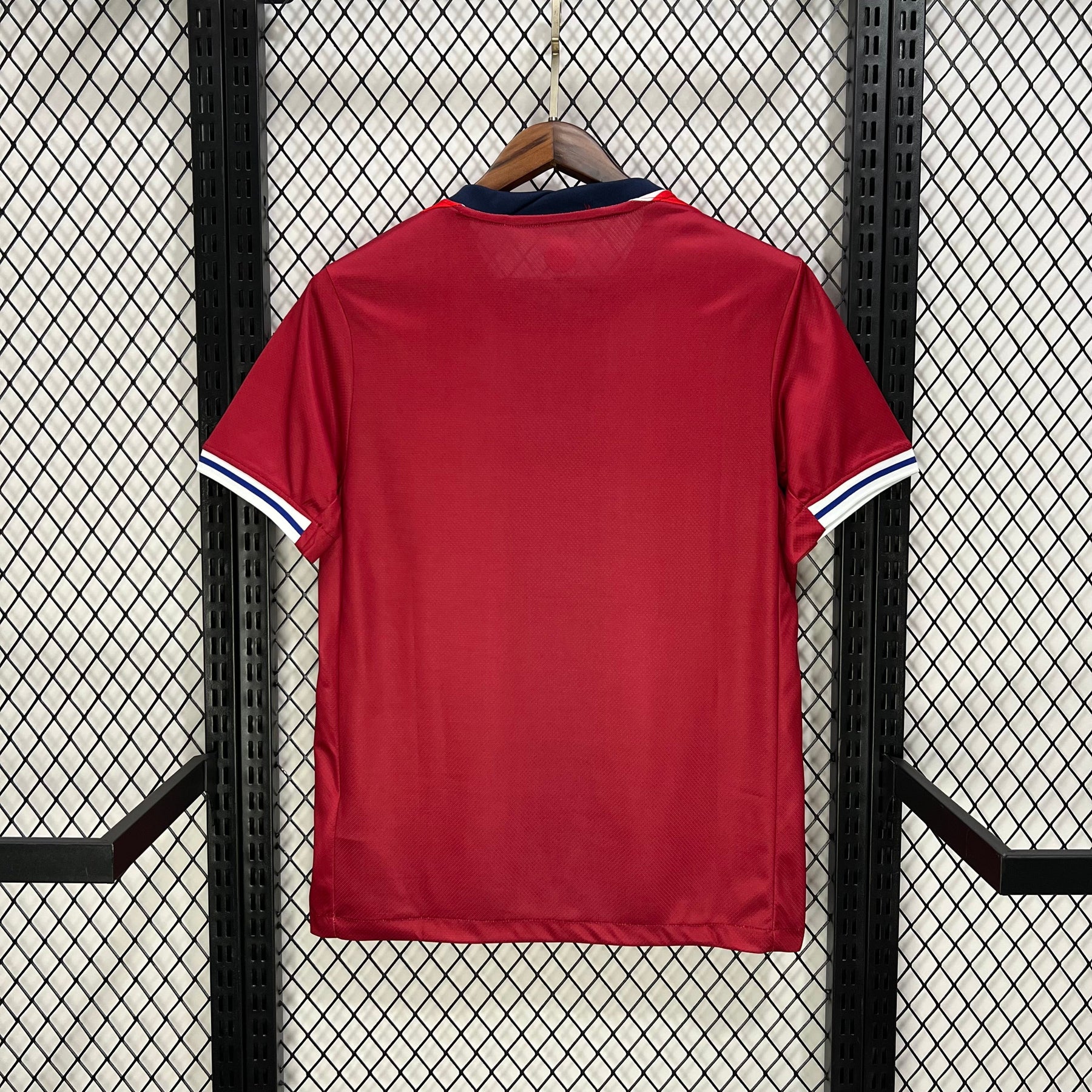 #10 Ødegaard Norway Titular Camiseta 2024/2025