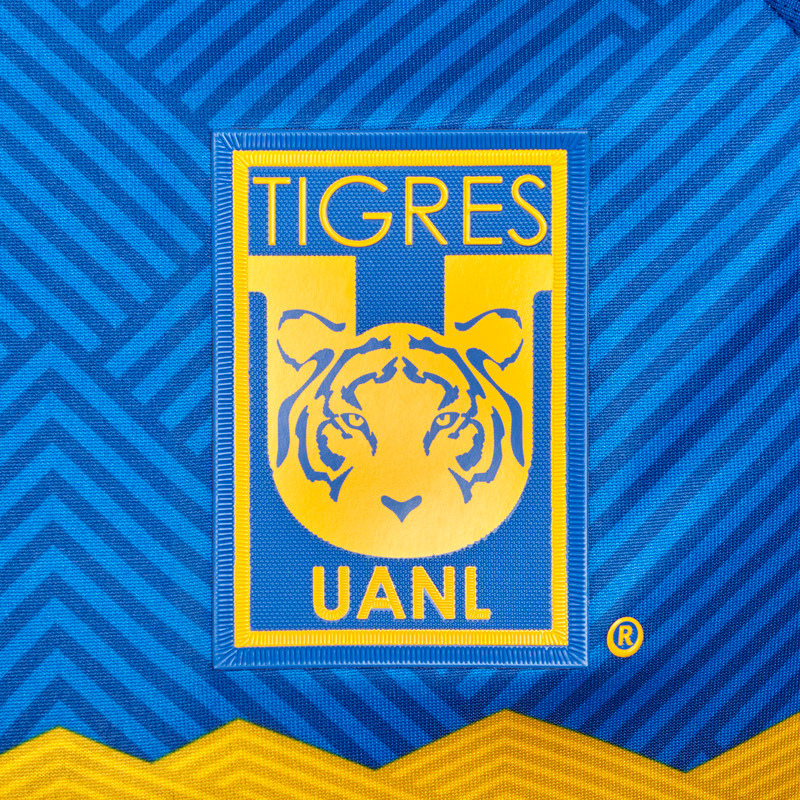 Tigres Visita Authentic Player Camiseta 2024/2025