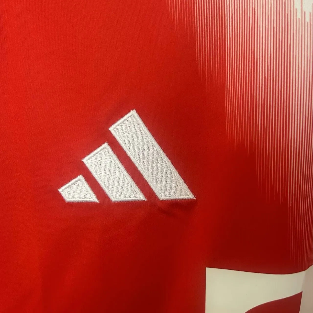Bayern Munich 25/26 Camiseta l - Version Fan