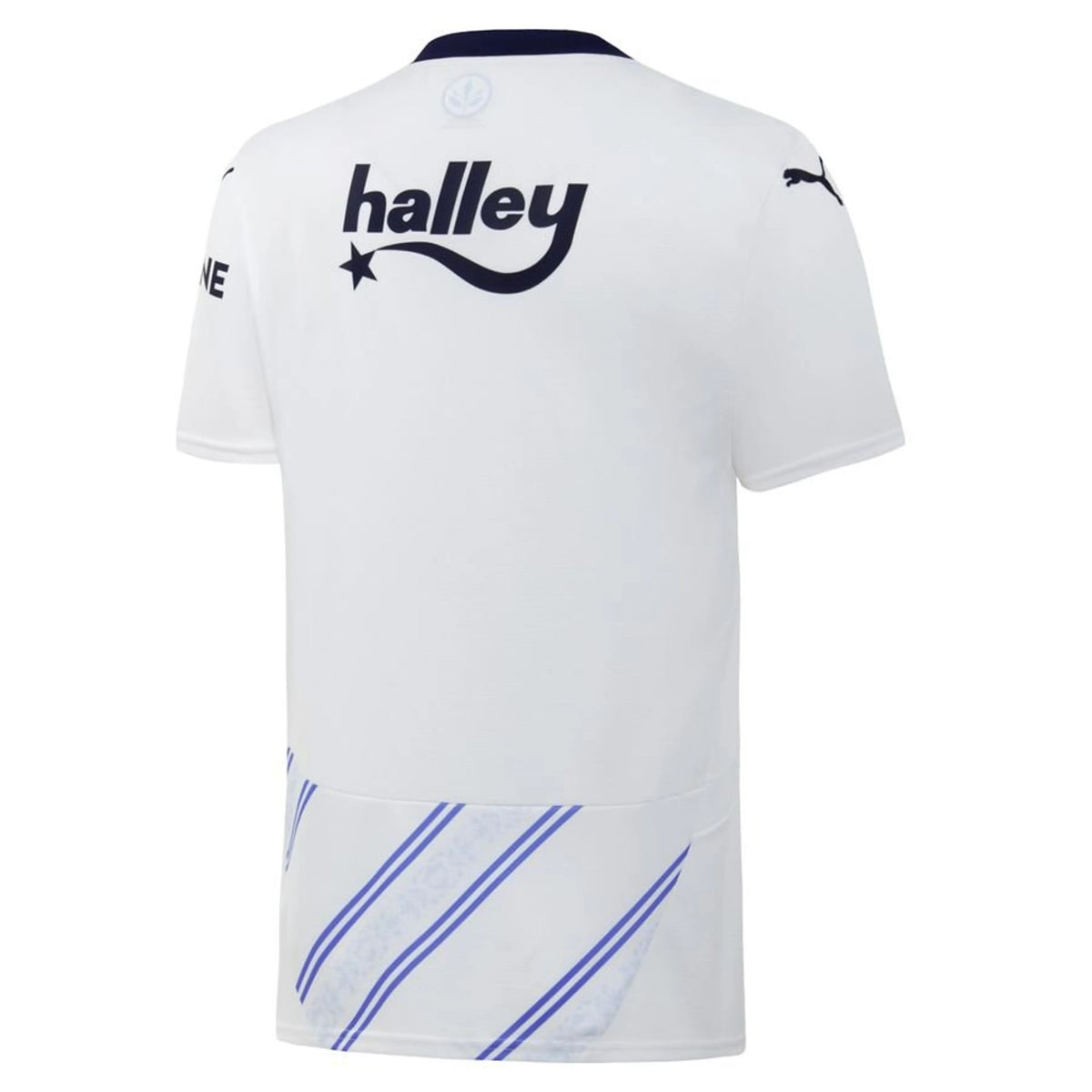 Fenerbahçe Visitante Camiseta 2024/2025