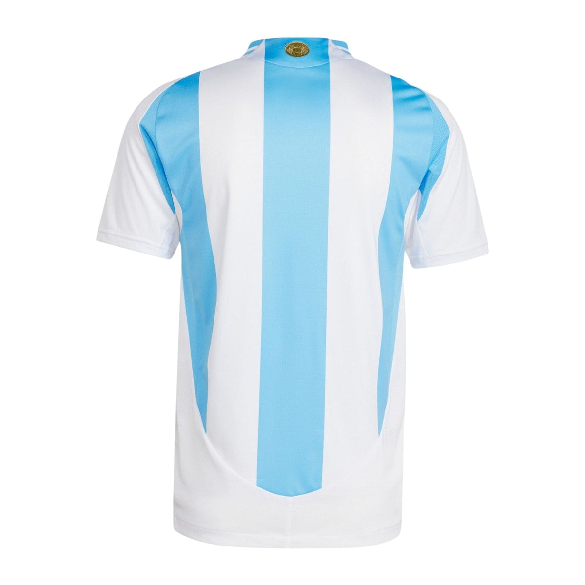 Argentina I Camiseta 2024/25 - Versiﾃｳn Jugador
